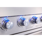 Shinerich (Big Horn) 6+2 Burner Deluxe Stainless Steel Island Barbecue Grill
