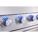 Bighorn - 6+2 Burner Deluxe Stainless Steel Island Barbecue Grill 19